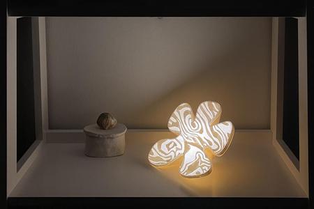 Amoeba lamp