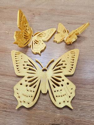 Butterfly in Flight