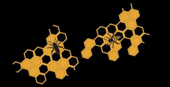 Bees and honeycomb