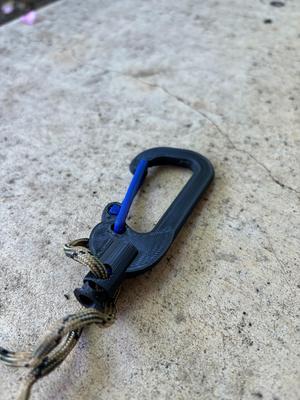 Carabiner with String Lock