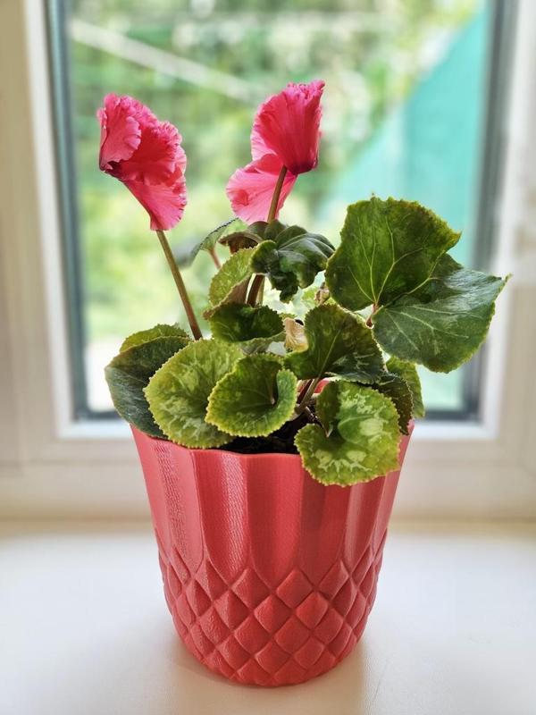 Flower Pot Decoration