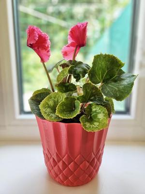 Flower Pot Decoration