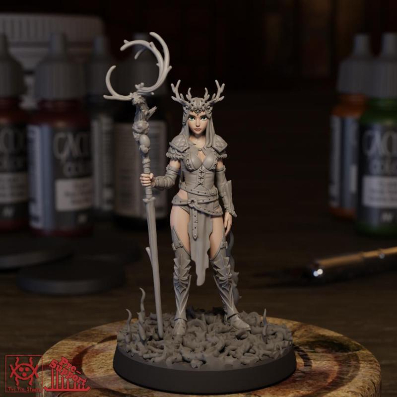 Adventurer - Female Druid