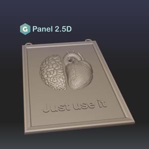 Panel 2.5D: Just Use It