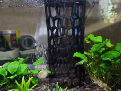 Vase to Aquarium