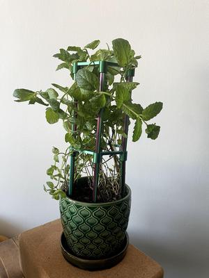 Stackable hex plant support