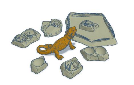 Water and Food Bowls in Rock Shape for Reptiles