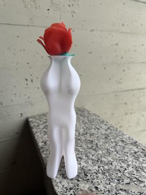 donna vaso