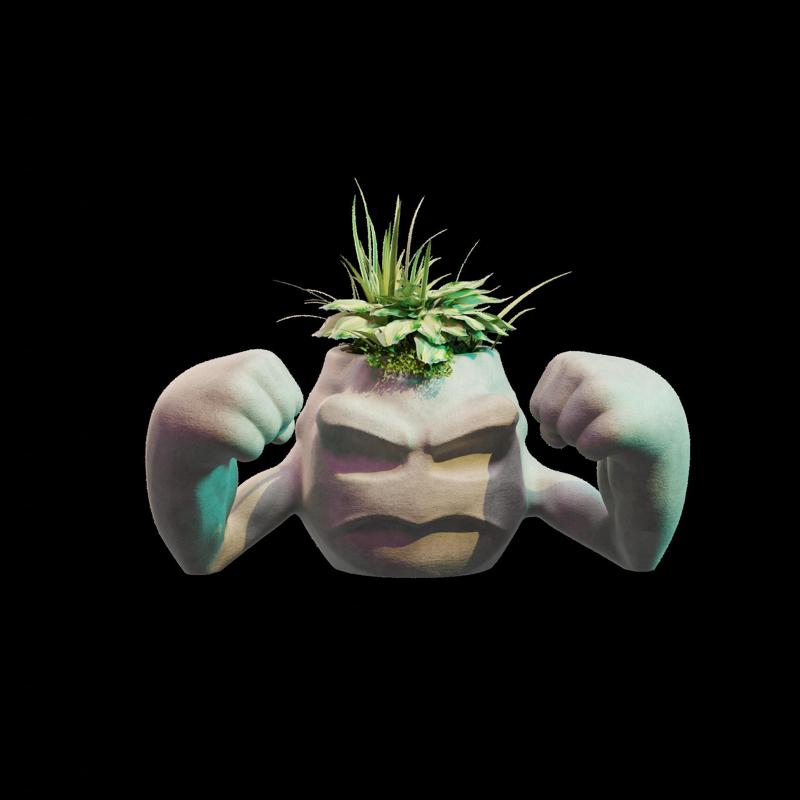Geodude Planter