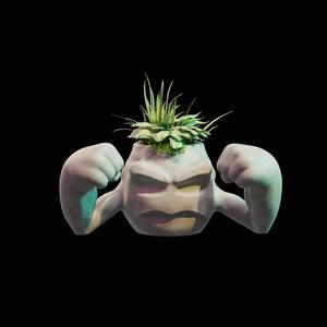 Geodude Planter