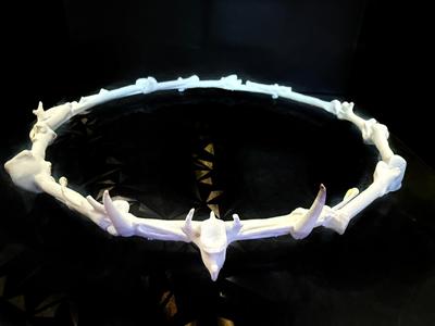 Crow Bones Witch Crown