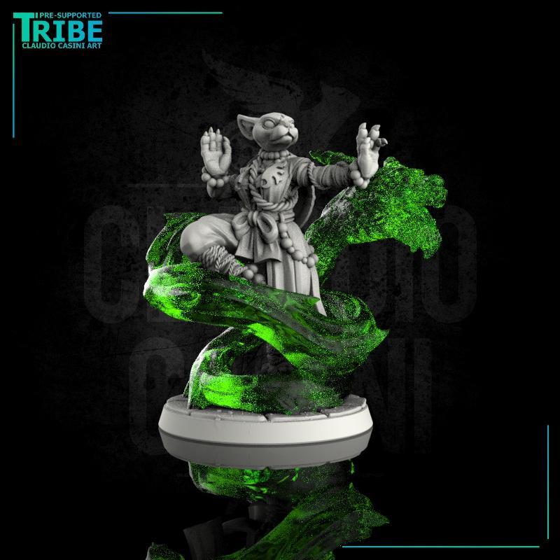 (0013) Female felinid monk druid cleric warrior with chakra spell