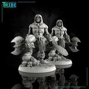 (0017) Male human half-orc barbarian with swords and axes