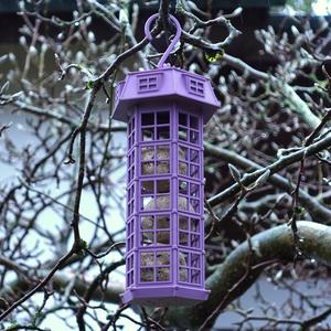 Bird feeder | suet ball holder