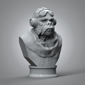 Kuiil Bust (Pre-Supported)