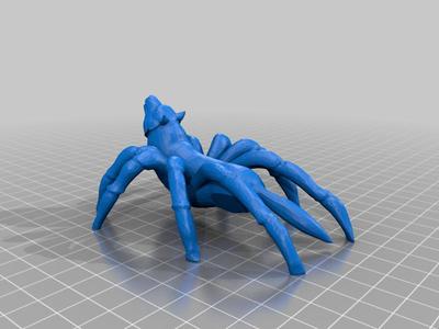 Wolf Spider