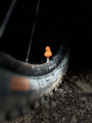 Duck Presta & Schrader Valve Cap