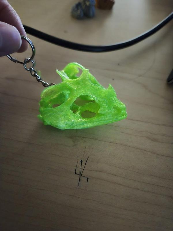 Bearded Dragon Skull (1 piece)