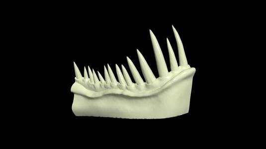 teeth monster.stl
