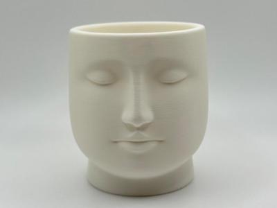 Serene Face Planter