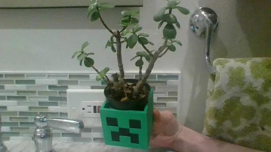 minecraft creeper and slime pot