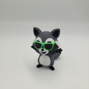 Cool Racoon
