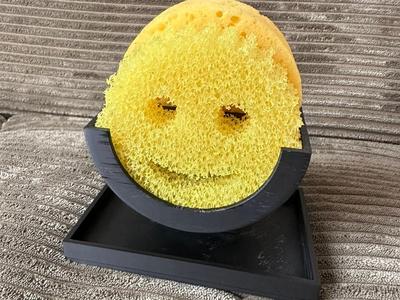 Double Scrub Daddy Holder