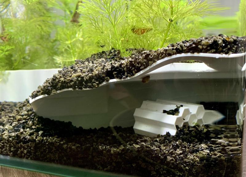 Eckhöhle mit Pflanzbereich und Mehrfachöffnungen