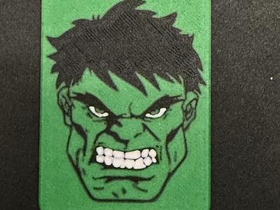 Hulk ID Holder 2