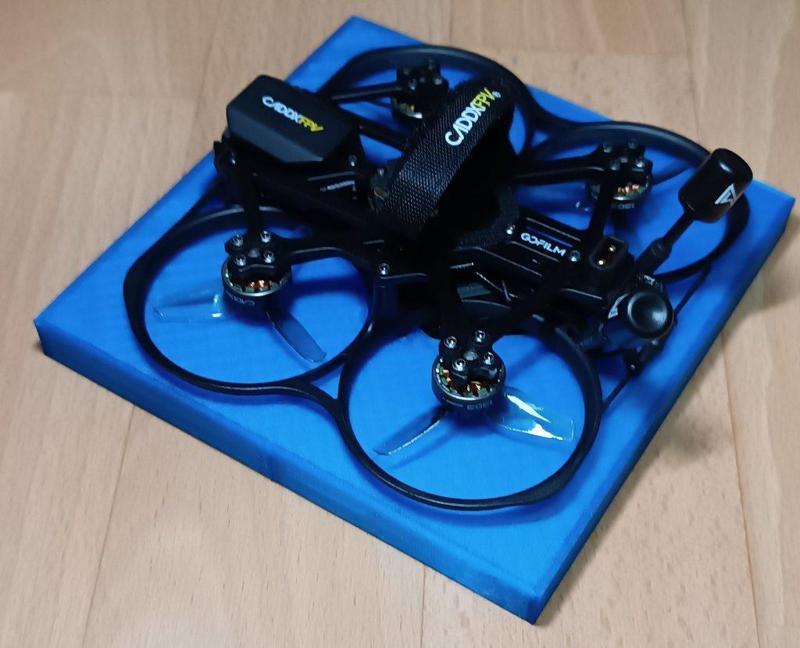 Inlay für eine Transportbox eines Caddx GoFilm20