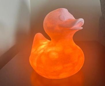 Pink Duck lamp (001 led light)