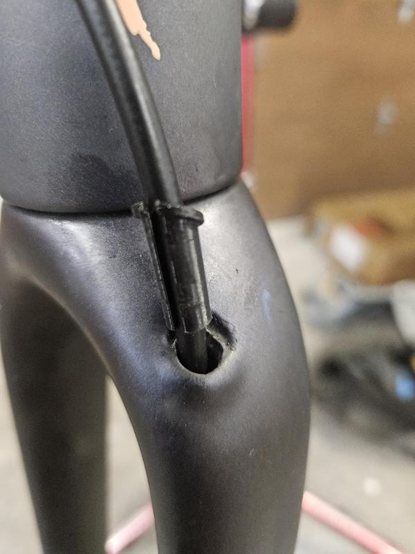 Specialized Crux Hose Guide