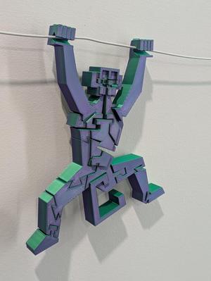 Hanging Monkey Puzzle