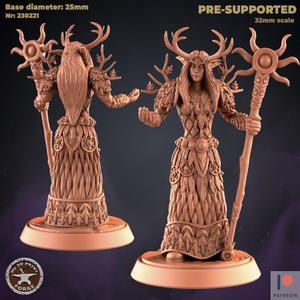 Cenarion Elf Female Druid