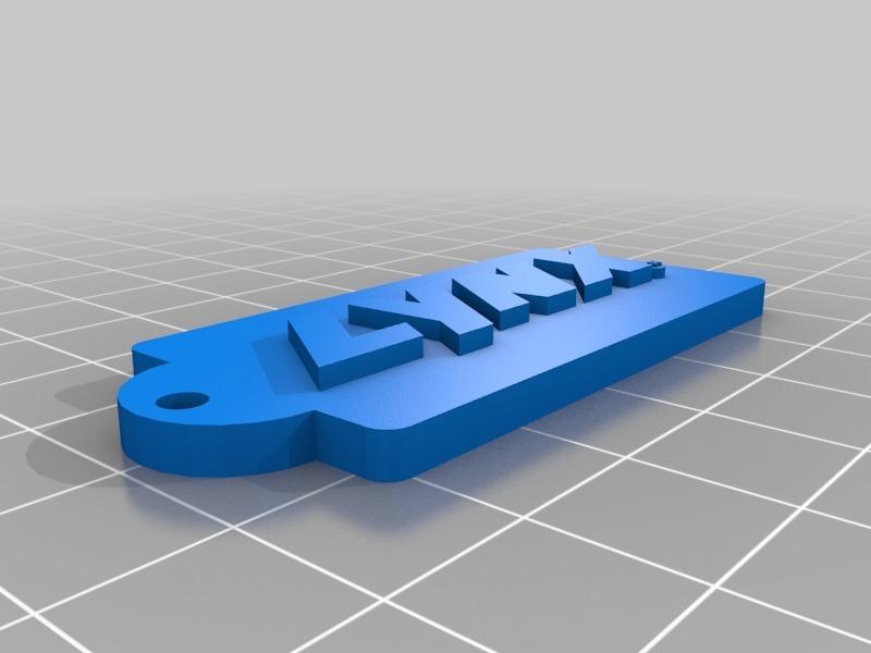 LYNX logo keychain