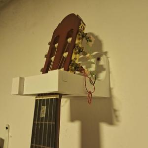 Support of guitar