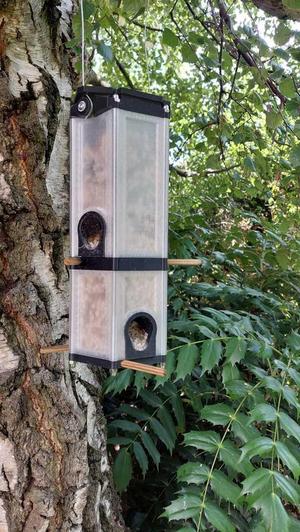 Bird Feeder - high capacity & modular