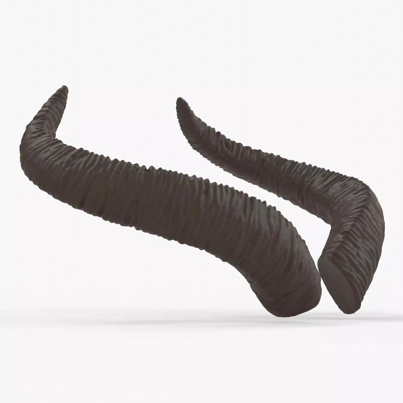 Large Swooping Horns - Marie