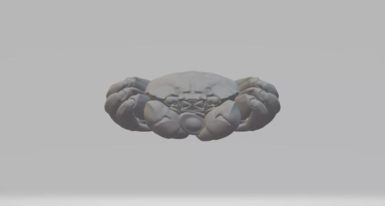 Money Crab