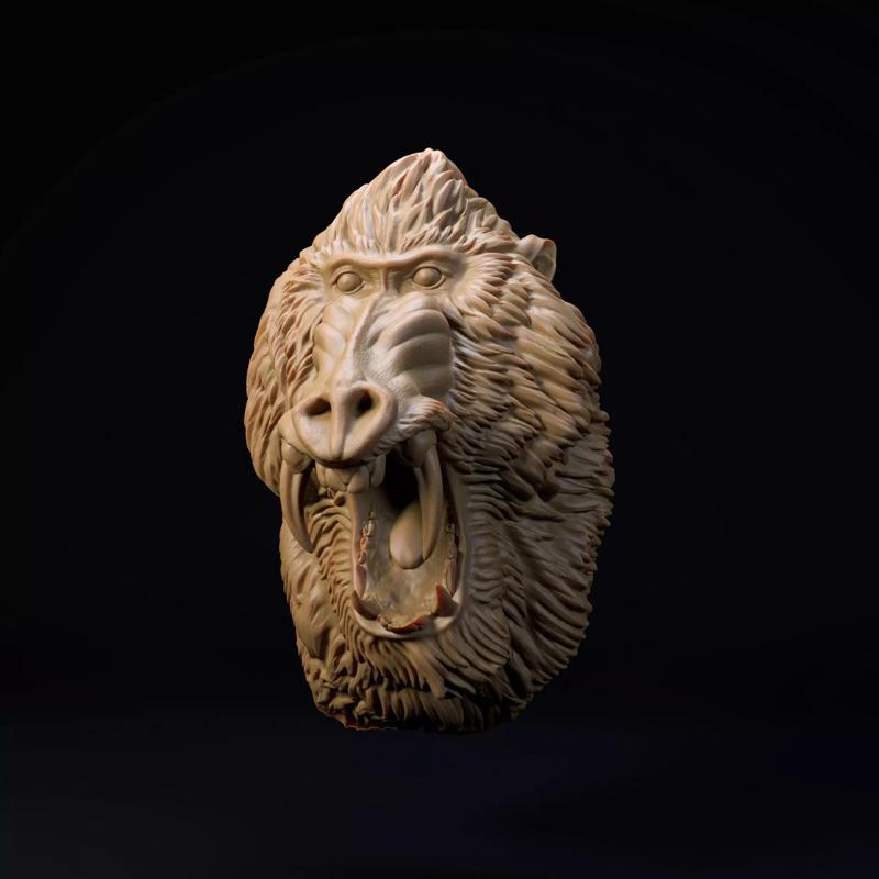 Mandrill mount-head