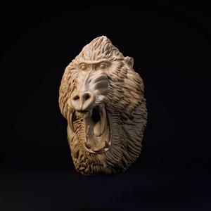 Mandrill mount-head