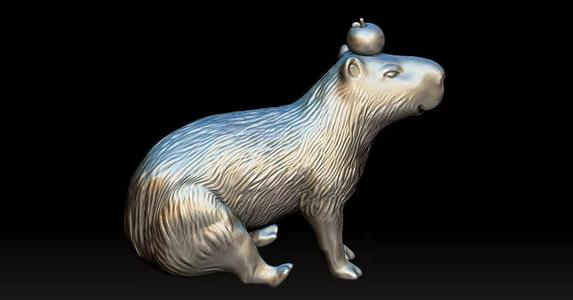 Capybara