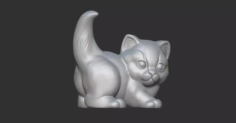 Cat Cute