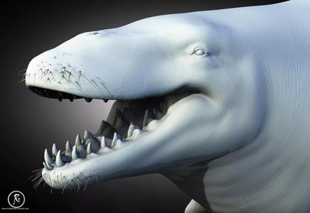 Basilosaurus  The Serpent Whale of Prehistoric Oceans