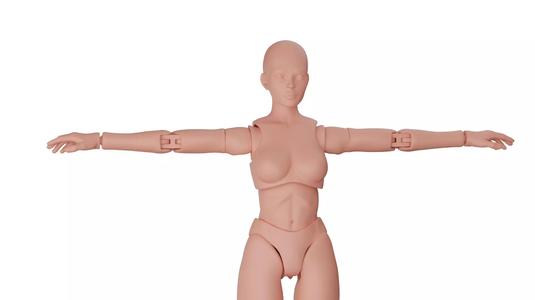 Articulated figure