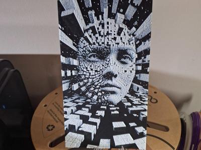 Fragmented Face –Breaking Through the Digital Void