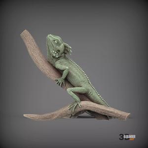 boyds forest dragon on a branch