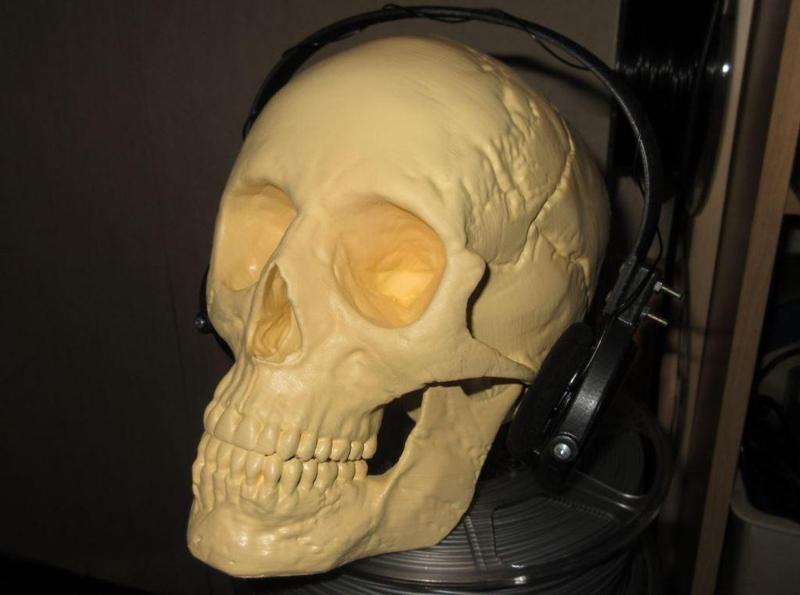 XP Deus WS4 Headphones