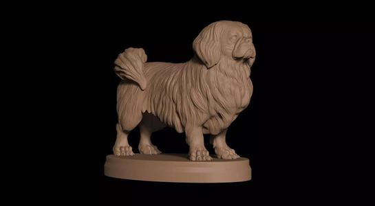 Pekingese