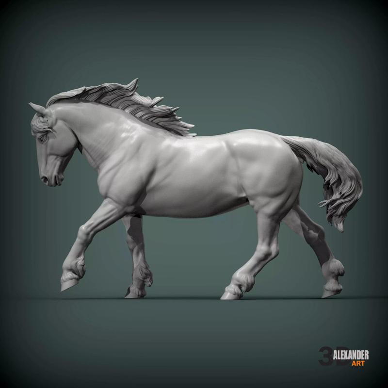 Percheron running